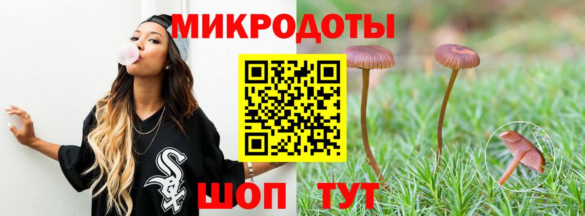 Псилоцибиновые грибы прущие грибы Ялта